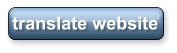 translate website